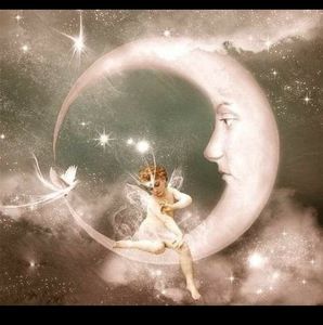 Meet your Posher, Dianne